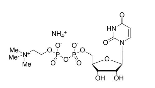 尿苷二磷酸膽堿（UDPC）銨鹽
